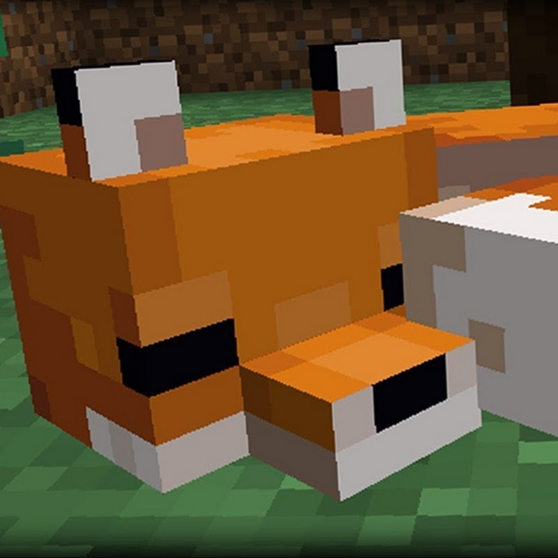 Daily Dose of Minecraft