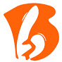 BallotBoxIndia logo