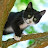 @treed6038's avatar