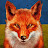 @vsevolodsemenov8433's avatar