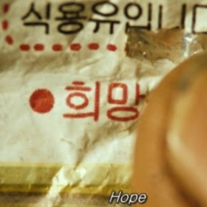 김씨표류기