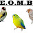 E.O.M.B elevage oiseaux