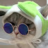 KFKi0Bbfqto-channel-avatar-냥냥펀치