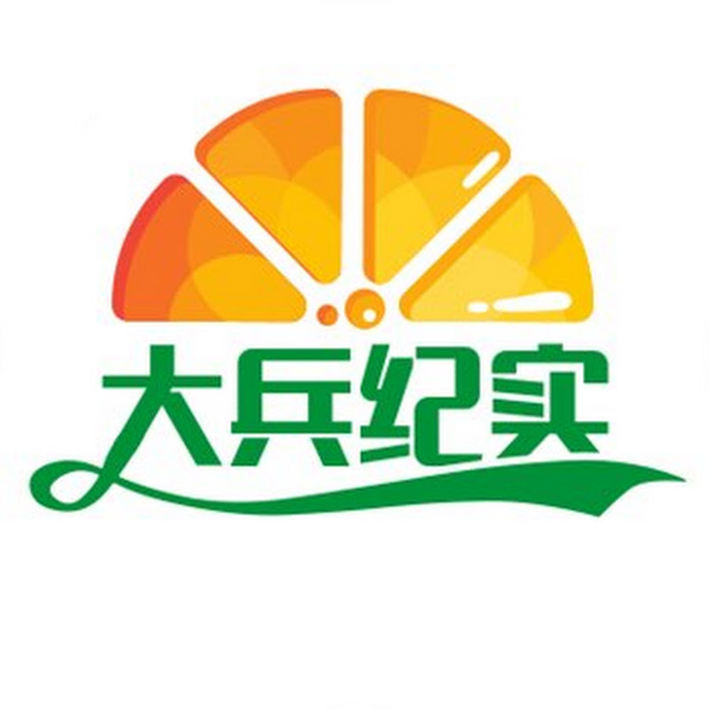 大兵纪实 Logo