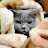 @serendipitylee6500