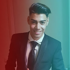Ramin Habibi