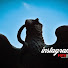 ObJxeWRq83c-channel-avatar-FotoSUR
