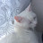 @be_a_bright_sparkle3687's avatar