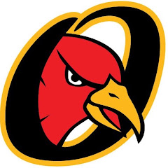 OrleansFirebirds