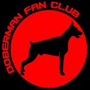 Doberman Fan Club