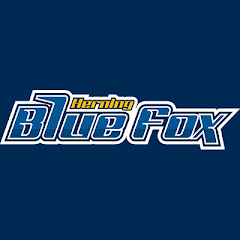 BlueFoxHerningAS