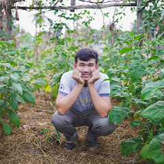วิถีไทบ้าน Channel avatar