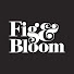 YRmpDy2u7Fw-channel-avatar-Fig & Bloom