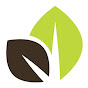 LifePoint Church logo