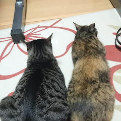 じょなさん