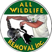 All Wildlife Removal Inc.