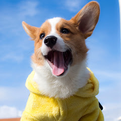 Thumbnail of related channel