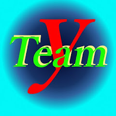 Team Y