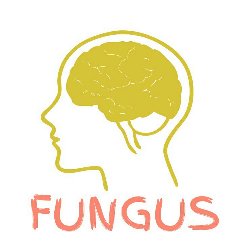 FUNGUS Ltd