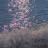 @user-ws7pz6dm3y