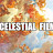 @celestialfilmproductions