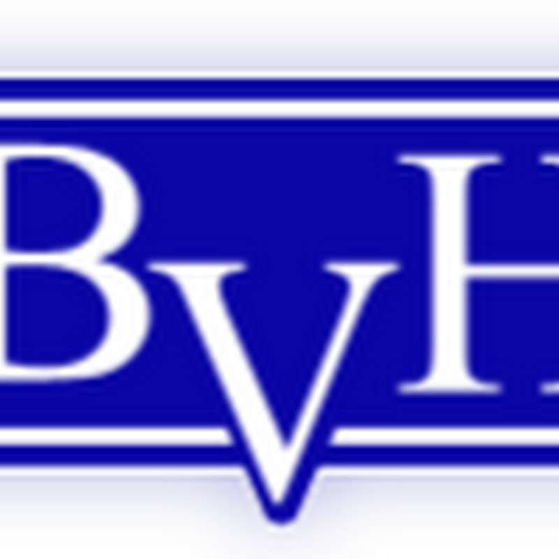 BVH Car Sales (BVH Car Sales)
