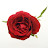 youtube avatar