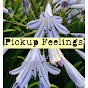 Pickup Feelings logo