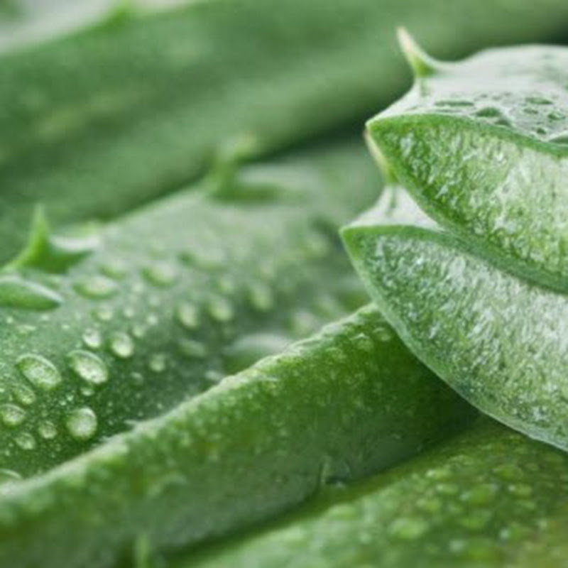 NNatural Remedies