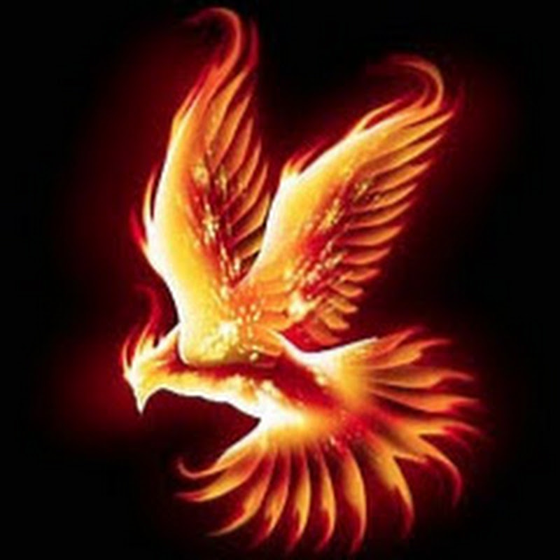 PHOENIX AUTO