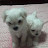 @정이윤-l9m