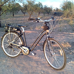 Mi bici, yo y más