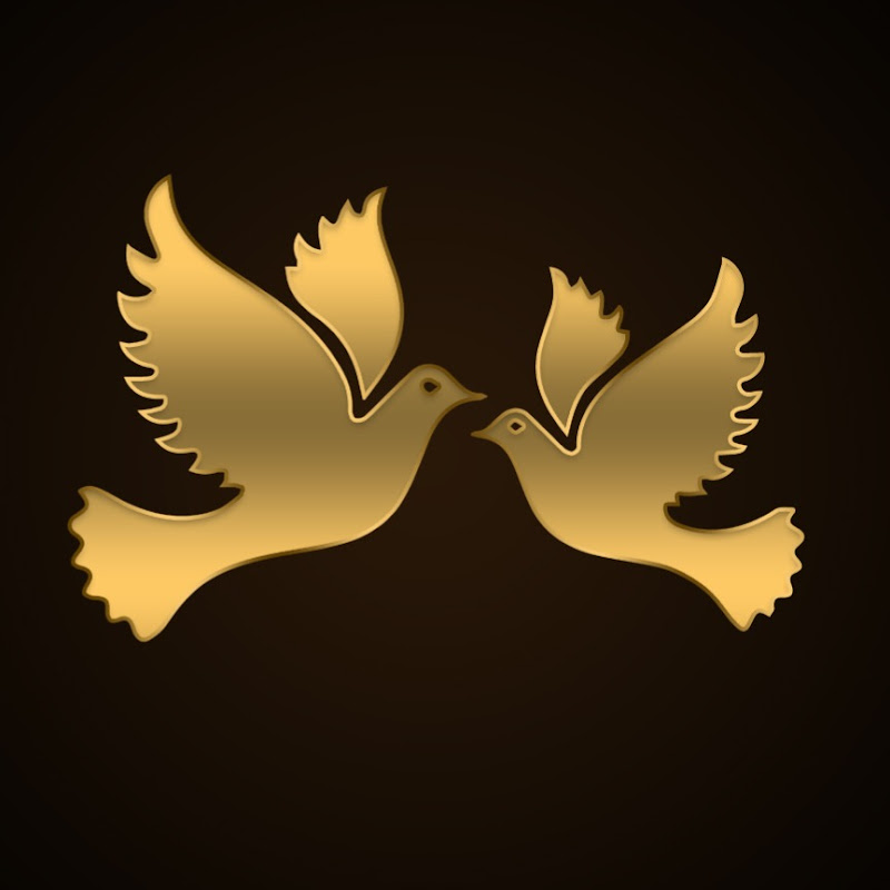 Beauty Birds icon