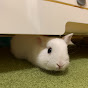 ひなた