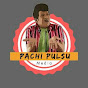 Pachi Pulsu Media logo