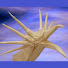 aAFppKlxZIs-channel-avatar-KENTAI000