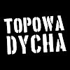 What could Topowa Dycha buy with $167.1 thousand?