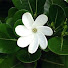 cPTQx9G6ruw-channel-avatar-NUA UAI