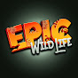 Epic Wildlife