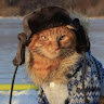 Автор