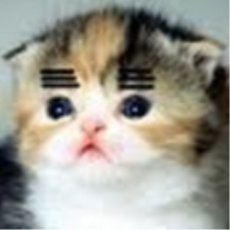 Kyokoon64