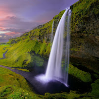 Profile Picture of walid p