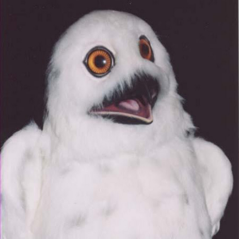 DJ Owlz