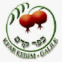 Kfar Kedem logo