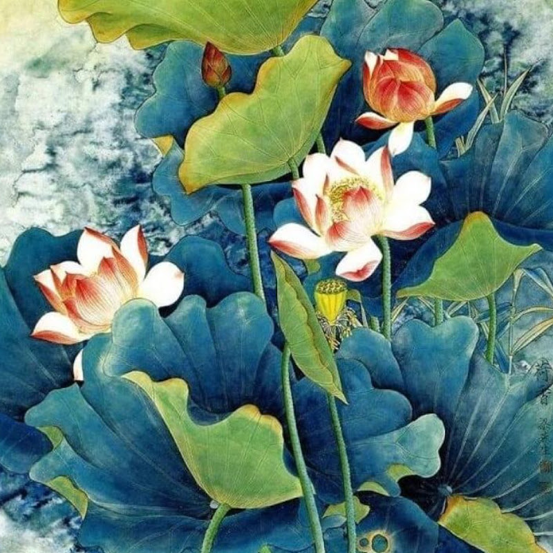 Ngủ đâu? Ăn gì?