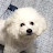 @태권품띠완치
