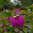 @ismaelbonal6537 Avatar