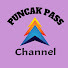 4nMtvwq8rAw-channel-avatar-PUNCAK PASS Channel