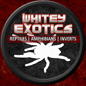 Whitey Exotics