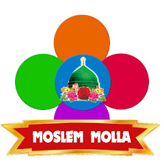 Moslem Molla avatar